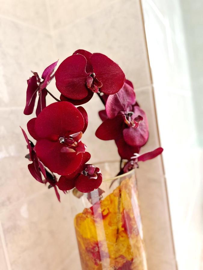 Villa Andreea 데포리노드 외부 사진